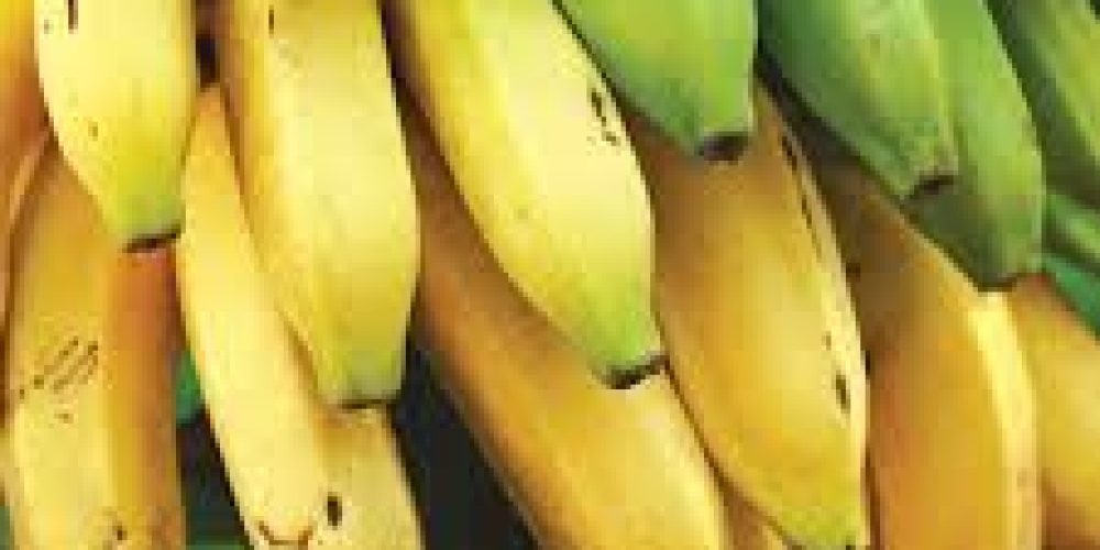 bananas