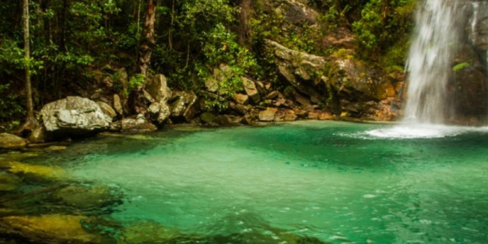 chapada veadeiros