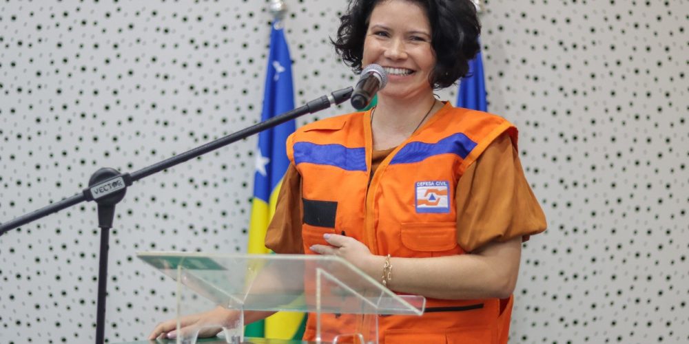 defesa civil simone assis